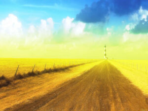 Diantara Buah Iman Kepada Takdir Qodho Dan Qodar