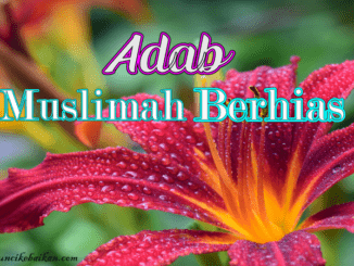 adab-muslimah-berhias