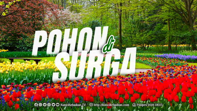 pohon di surga