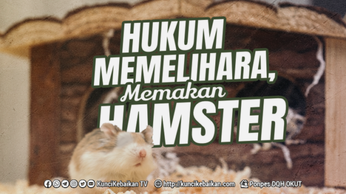 HUKUM MEMELIHARA, MEMAKAN HAMSTER