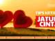 tips ketika jatuh cinta