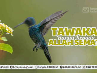 tawakal hanya kepada allah semata