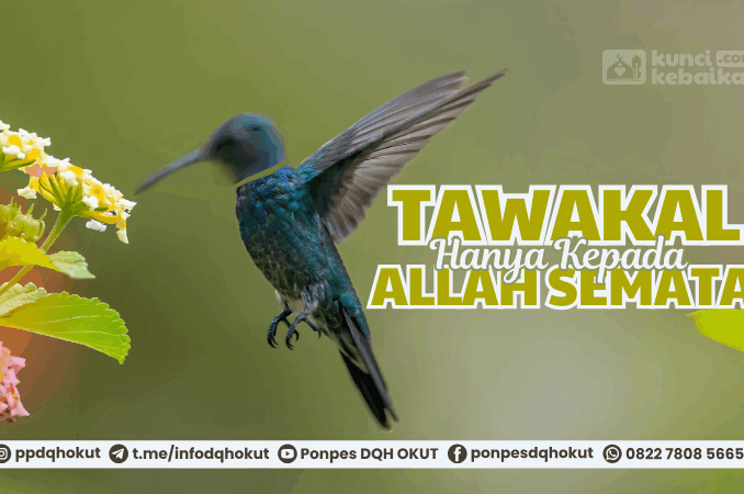 tawakal hanya kepada allah semata