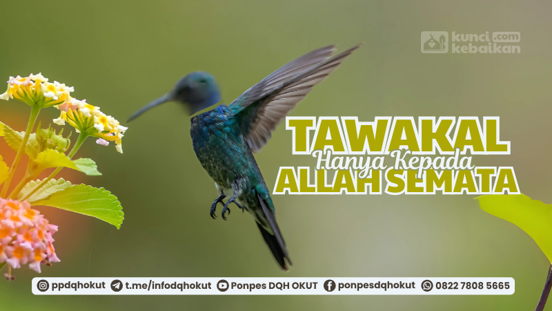 tawakal hanya kepada allah semata