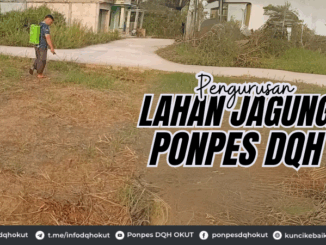 Pengurusan Lahan Jagung Ponpes DQH