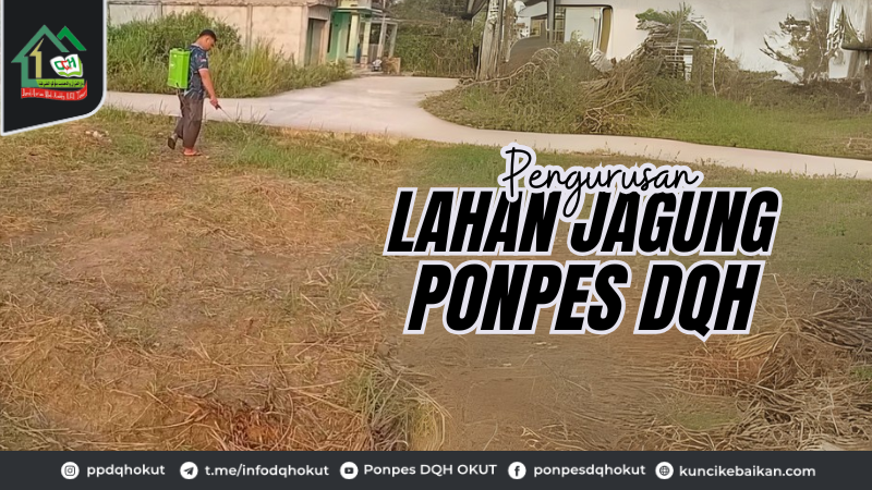 Pengurusan Lahan Jagung Ponpes DQH