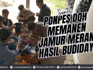 Santri Ponpes DQH Memanen Jamur Merang Hasil Budidaya