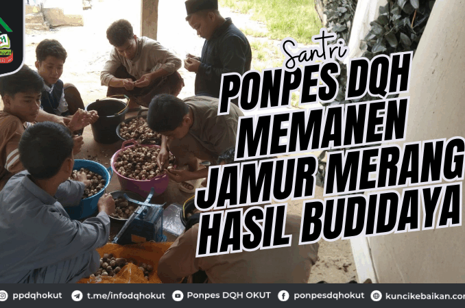 Santri Ponpes DQH Memanen Jamur Merang Hasil Budidaya