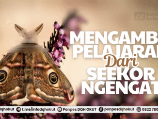 mengambil pelajaran dari seekor ngengat