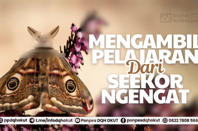 mengambil pelajaran dari seekor ngengat