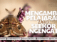 mengambil pelajaran dari seekor ngengat