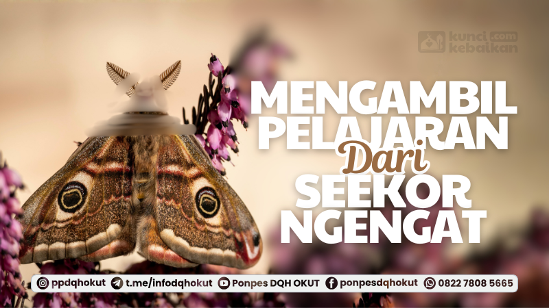 mengambil pelajaran dari seekor ngengat